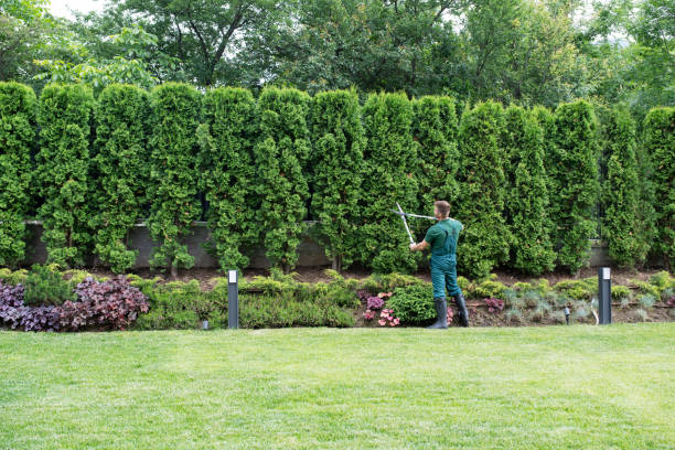 Best Pest Control for Lawns  in Roy, UT
