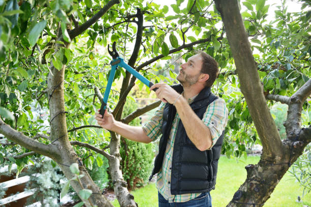 Best Lawn Watering Services  in Roy, UT